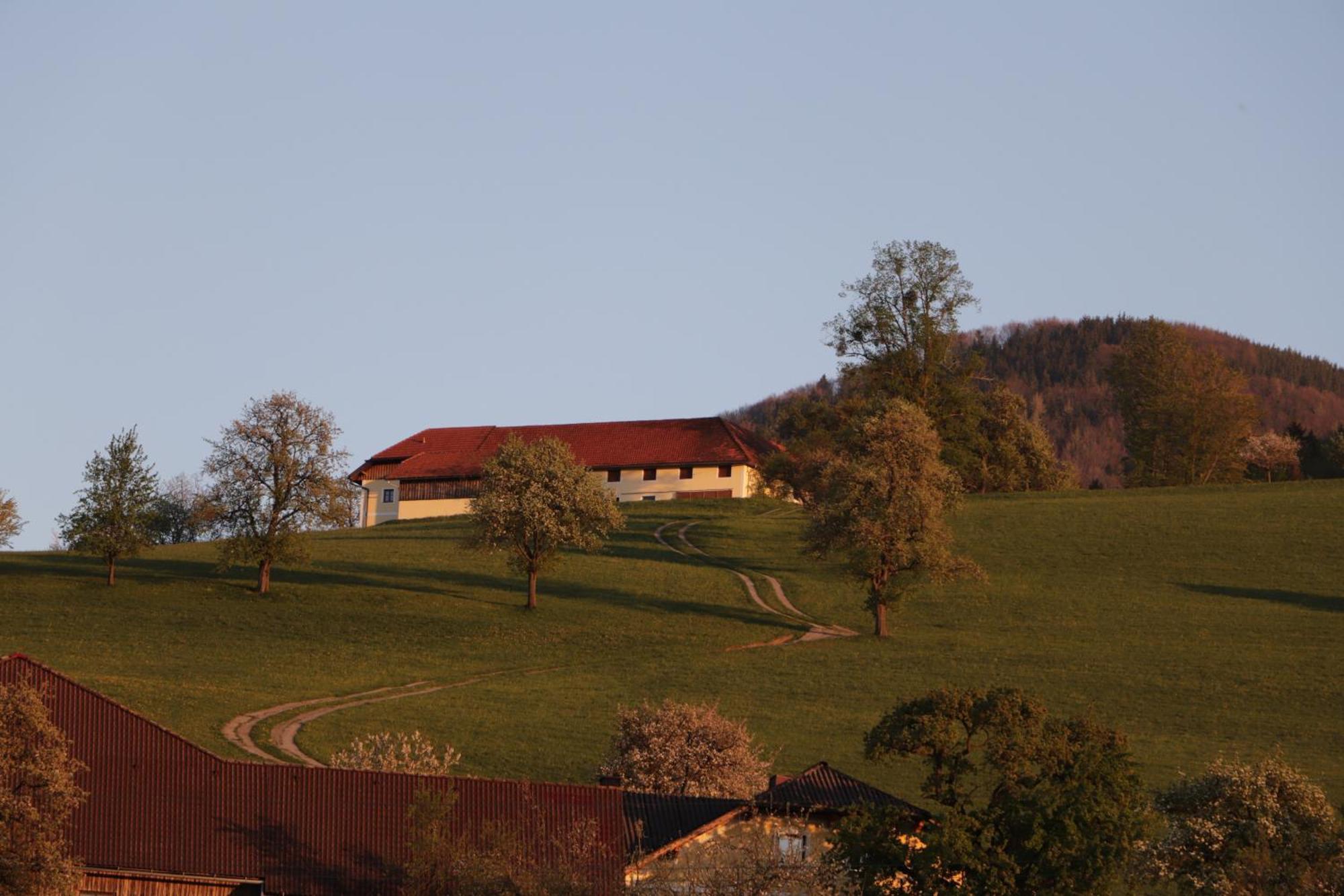 Steinbach an der SteyrUnterbrandlberg公寓 外观 照片